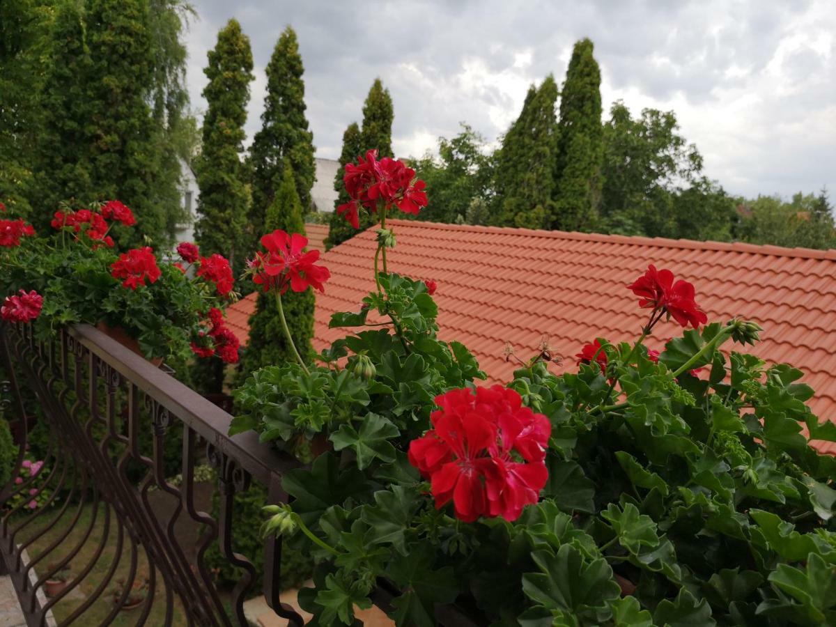 Julia Panzio Bed & Breakfast Hajdúszoboszló Dış mekan fotoğraf