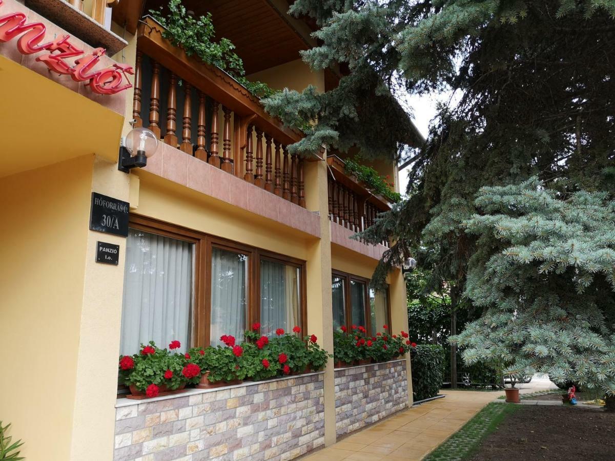 Julia Panzio Bed & Breakfast Hajdúszoboszló Dış mekan fotoğraf
