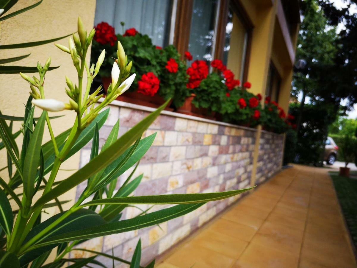 Julia Panzio Bed & Breakfast Hajdúszoboszló Dış mekan fotoğraf